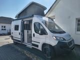 HYMER / ERIBA / HYMERCAR Free 600 - Hymer Free
