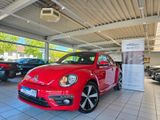 Volkswagen Beetle Lim. Sport Panorama Navigation "R Line" - Volkswagen Beetle: Rot