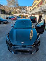 Cupra Terramar 1.5 eTSI MHEV 110kW DSG inkl. GARANTIE