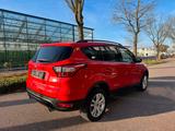 Ford Kuga Business Edition Navi/Carplay/Tempomat - Ford Kuga: Business Edition