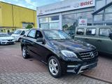 Mercedes-Benz ML 350 ML 350 CDI BlueTec 4Matic*Automatik*AHK*L - Mercedes-Benz ML 350 mit Diesel-Antrieb