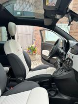 Fiat 500 1.0 Hybrid Lounge -  27.700 km - Fiat 500 Gebrauchtwagen Fiat500