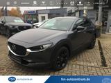 Mazda CX-30 2.5L 140ps 6AT FWD Homura - Mazda CX-30 Neuwagen