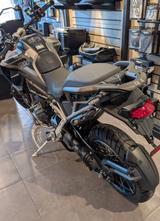 Triumph TIGER 1200 RALLY PRO mit 2000€ Preisvorteil - TRIUMPH TIGER 1200