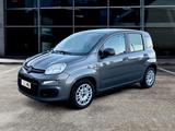 Fiat Panda 1.0 hybrid/GPL 70cv ADATTA NEOPATENTA - Fiat Panda Cabrio Gebrauchtwagen