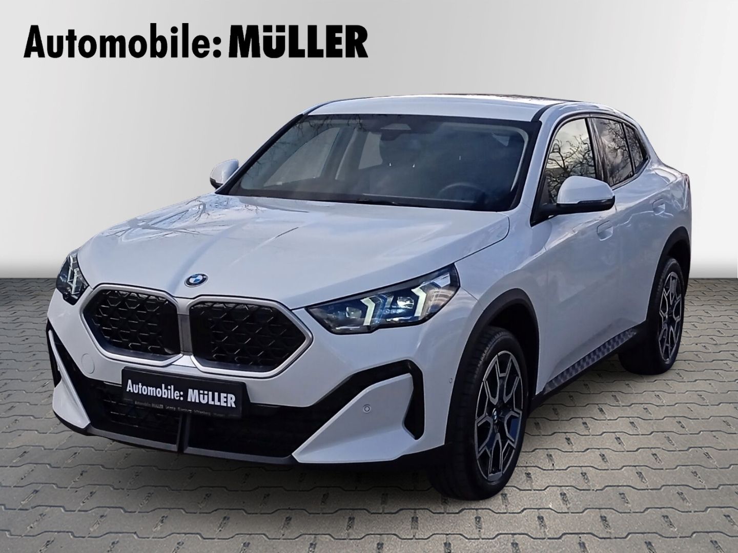 BMW X2 20i sDrive+LED ADAPTIV+KAMERA+DAB+KEYLESS GO+