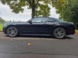 Ford Mustang EcoBoost 317PS. Aut.Vollled.S... - Ford Mustang: For
