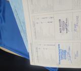 Fiat Panda 1.2 8V MyLive** Service neu** - Fiat Panda: My