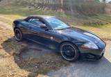 Jaguar XK 4.2L V8 Cabriolet - - Jaguar XK aus 2007
