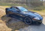 Jaguar XK 4.2L V8 Cabriolet - - Jaguar aus 2007