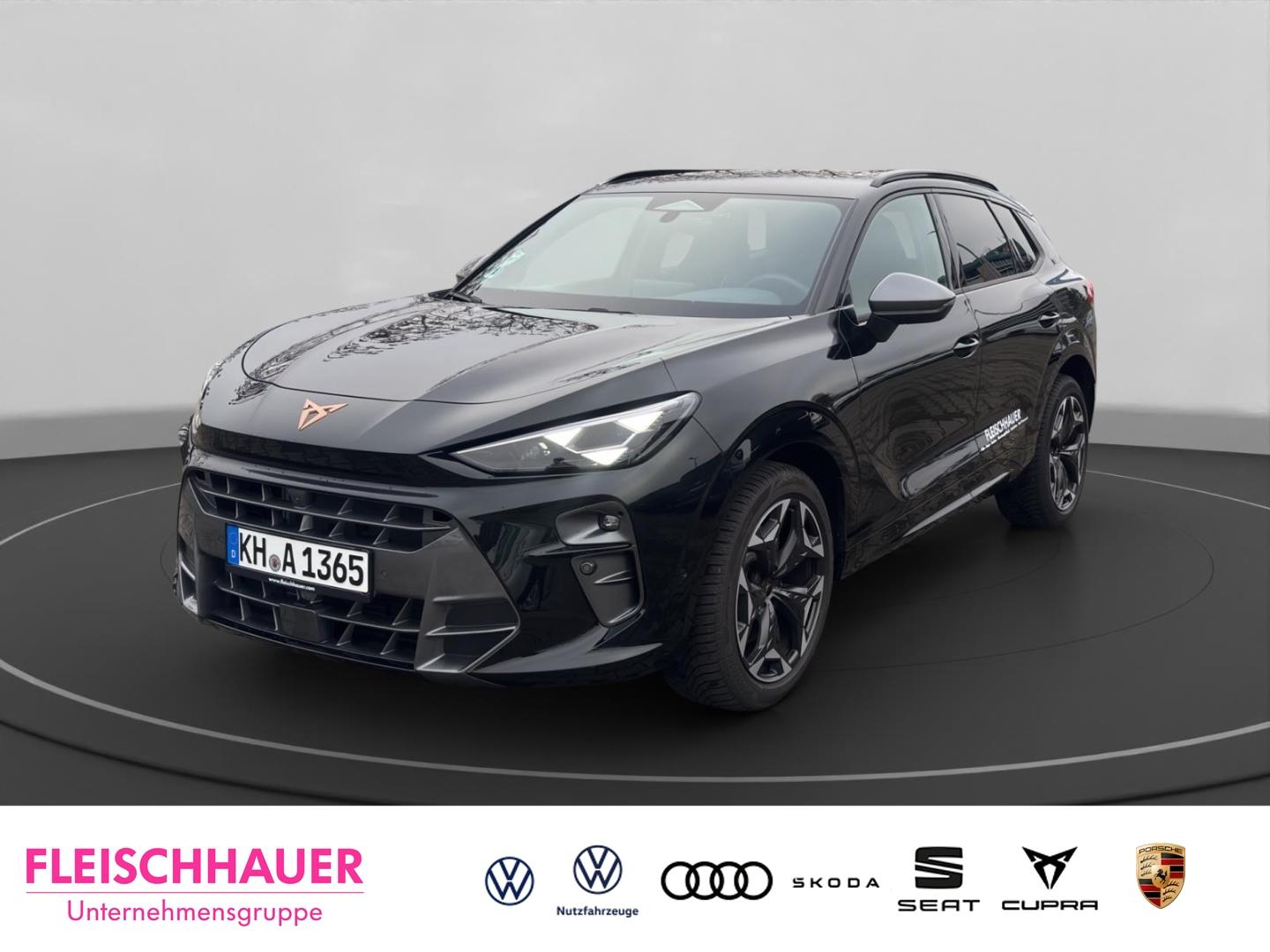 Cupra Terramar 2.0 TSI 150 kW 4Drive DSG  AHK  Perform