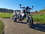Ducati Scrambler 1100 - einzigartig mit viel Zubehör - Angebote entsprechen deinen Suchkriterien