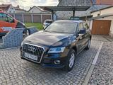 Audi Q5 2.0 TDI  quattro Navi SH Automatik - Audi Q5 Gebrauchtwagen in Dresden