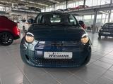 Fiat 500 Icon Icon - Fiat 500: Icon