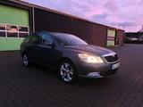 Skoda Octavia 2.0 TDI - Skoda: Roadster