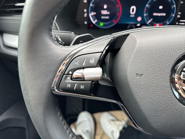 Octavia Combi 2.0 TDI DPF Ambition 4x4, Reise Pa