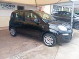 Fiat Panda 1.3 MJT S&S Lounge - Fiat Panda LOUNGE mit Diesel-Antrieb