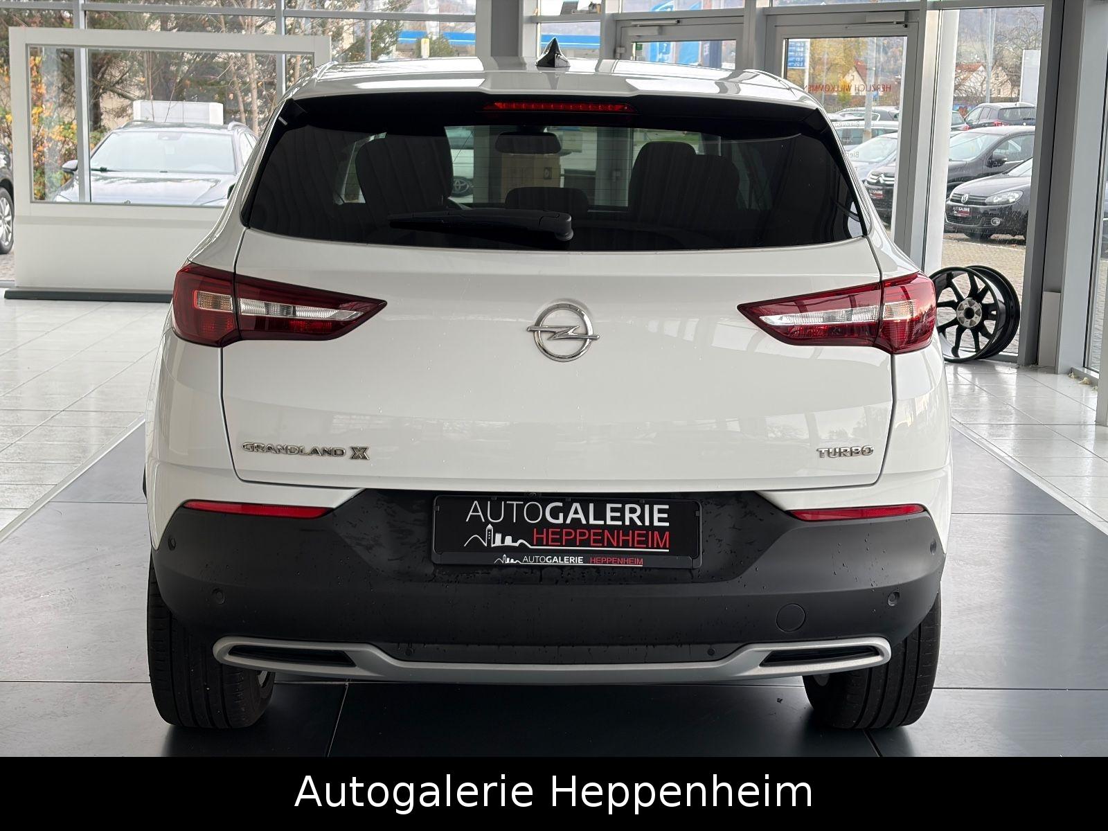 Opel Grandland (X)Innovation/AUT/NAV/SHZ/L-HEIZ/R-KAM