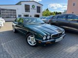 Jaguar XJ Executive 4.0*KLIMAA.*SHZ*LEDER*TÜV 01/2027 - Jaguar XJ aus 1998