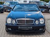 Mercedes-Benz CLK 230 Komp. Cabrio AUTOMATIK LEDER TEMPO SHZ - Mercedes-Benz: Cabrio, Clk