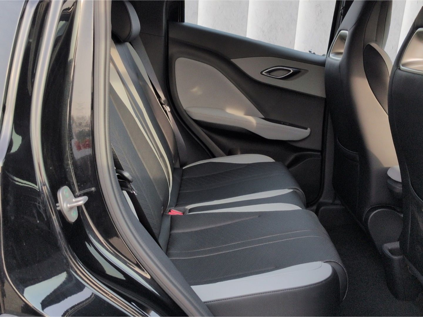 BYD DOLPHIN SURF