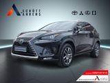 Lexus NX 300h E-Four Executive DAB, Dachreling, Dynami - Lexus: Nx