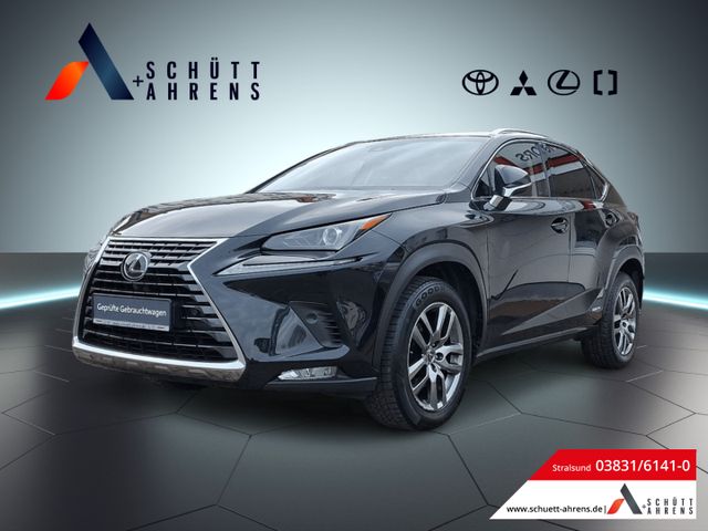 Lexus NX 300h E-Four Executive DAB, Dachreling, Dynami