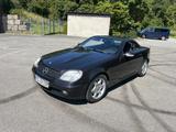 Mercedes-Benz SLK 230 - Der Wolf im Schafspelz - rostfrei - Mercedes-Benz Wolf