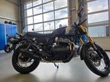Royal Enfield Bear 650 Golden Shadow - ROYAL ENFIELD MOTORRAD