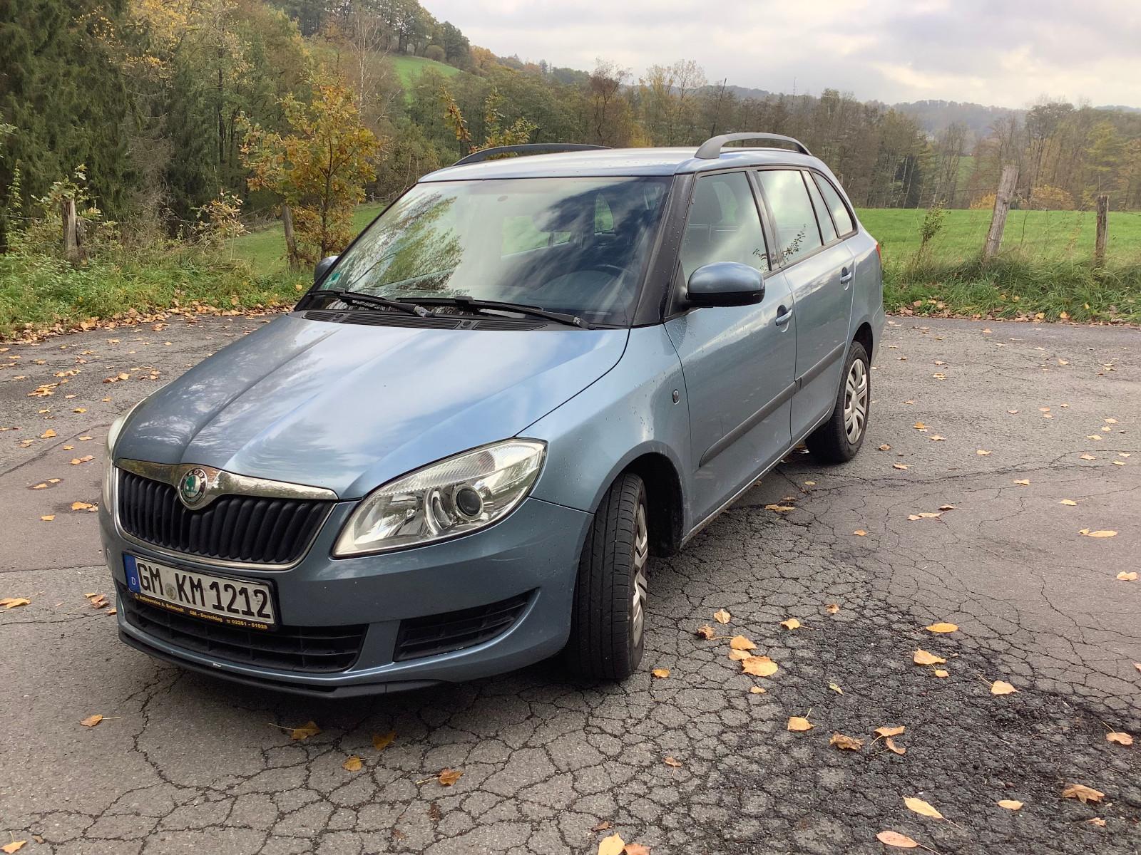 Skoda Fabia, 2010