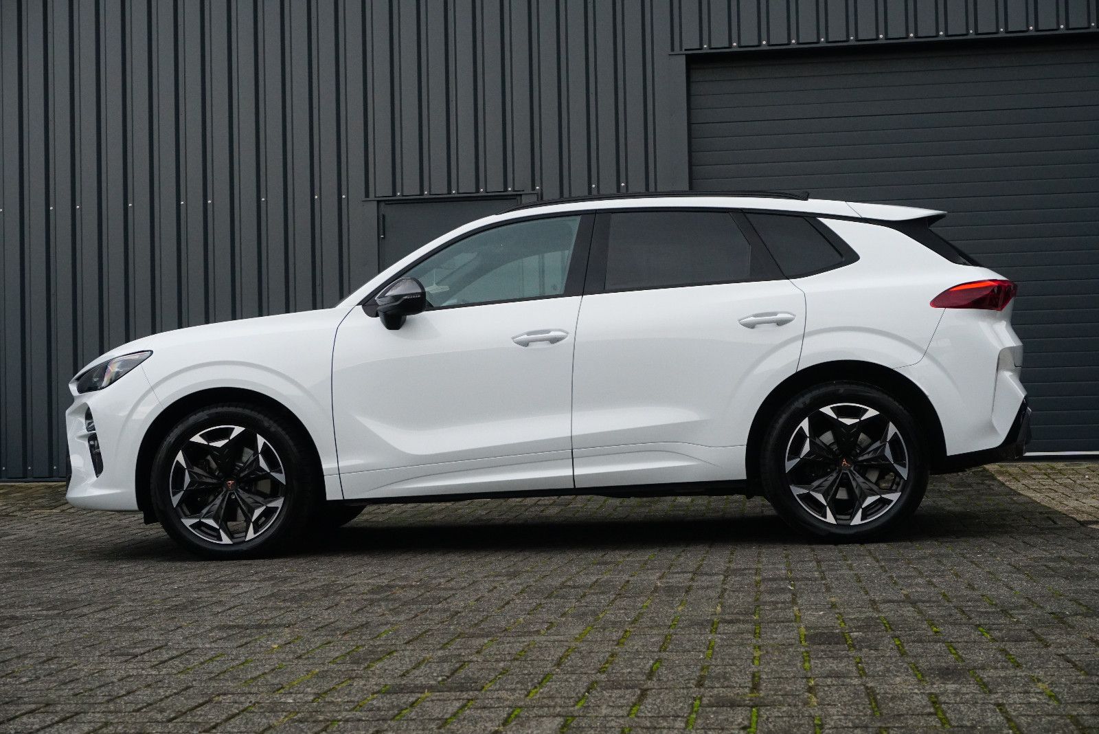 Cupra Terramar - Bild 4