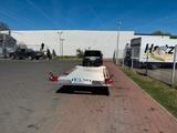 Blyss Professioneller Autotransportanhänger  - Autotransportanhänger