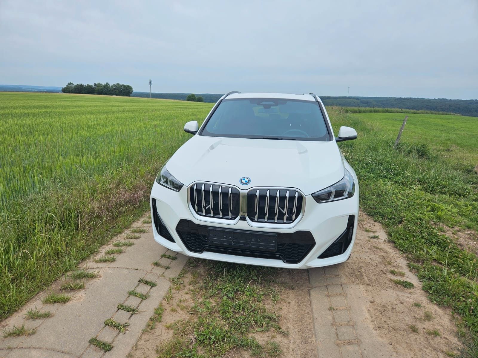 BMW X1 30 e xDrive M Sport imagem 2