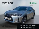 Lexus UX 250h Amazing Edition *Bi-LED*ACC*CAM*CarPlay*