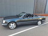 Mercedes-Benz E 320 w124 cabrio sportline - Mercedes-Benz E 320 aus 1994