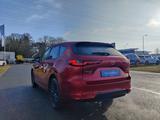 Mazda CX-60 3.3 D 254PS AT AWD Homura COSO AHK - Mazda: 3.2