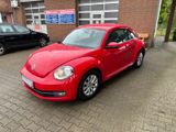 Volkswagen Beetle 1.2TSI Design - Volkswagen Beetle aus 2012