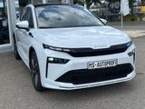 Skoda Enyaq Coupe 85 Lodge Wärmepumpe Plus Pack 20Zoll - Skoda Enyaq Tageszulassungen