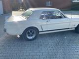 Ford Mustang V8 4,7L - Ford Gebrauchtwagen von 1965