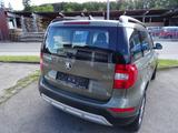 Skoda Yeti Ambition Outdoor - Skoda: Grün