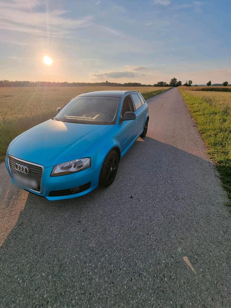 Audi A3 2009 — вигляд ззаду
