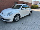 Volkswagen VW Käfer Beetle - Volkswagen: Sportwagen, Kaefer