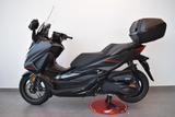 Honda NSS350 Forza 350 Special Edition * Nur 240Km * - Honda Forza 350 Special Edition