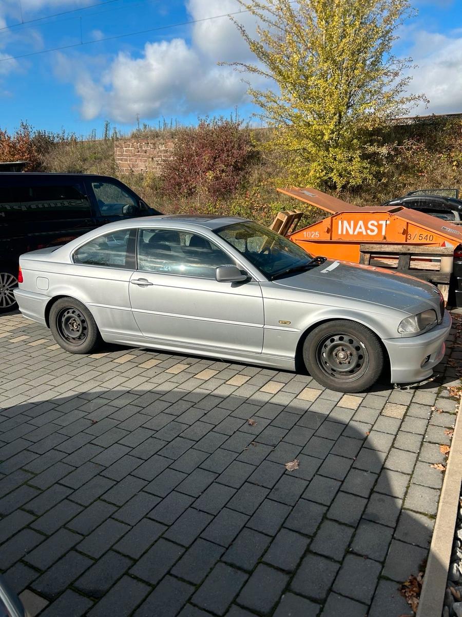 BMW 323