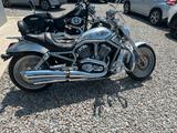 Harley-Davidson V-ROD 1200 VRSCA 100 JAHRE HD EDITION - HARLEY-DAVIDSON VRSCA