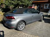 Volkswagen Golf 1.4 TSI LOUNGE Cabriolet LOUNGE - Volkswagen Golf: Cabrio, Golf1