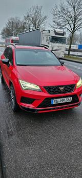 Andere cupra ateca - Andere in Bonn