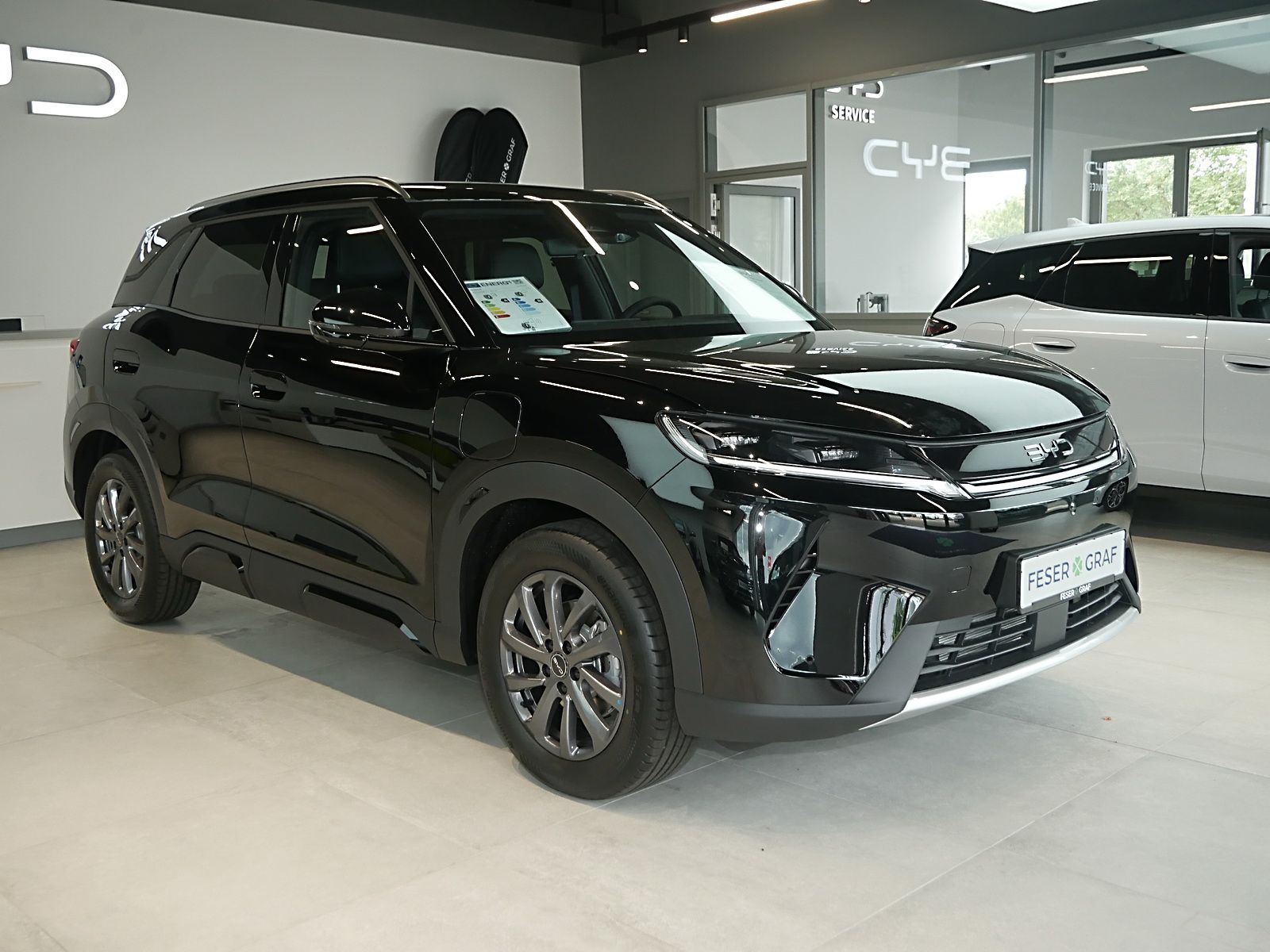 BYD ATTO 2