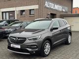 Opel Grandland X/Kamera/Leder/Neuer Motor 0KM!! - Opel: Motor