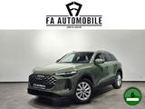 Audi Q5 TFSI S Line Matrix Beifahrerdisp.Kameras AHK